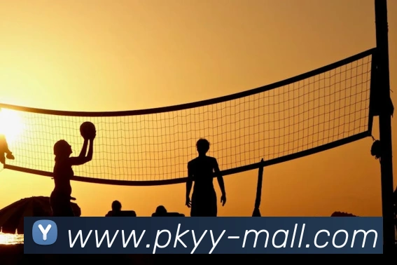 开云综合app官网登录服务体系